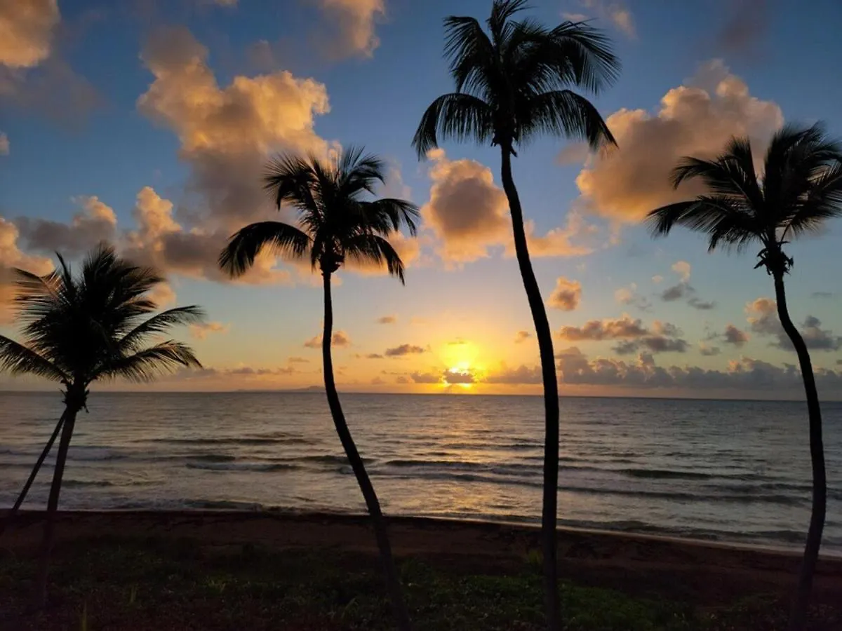 Bv103 - Amazing Oceanfront Condo Steps From Beach Humacao Apartman