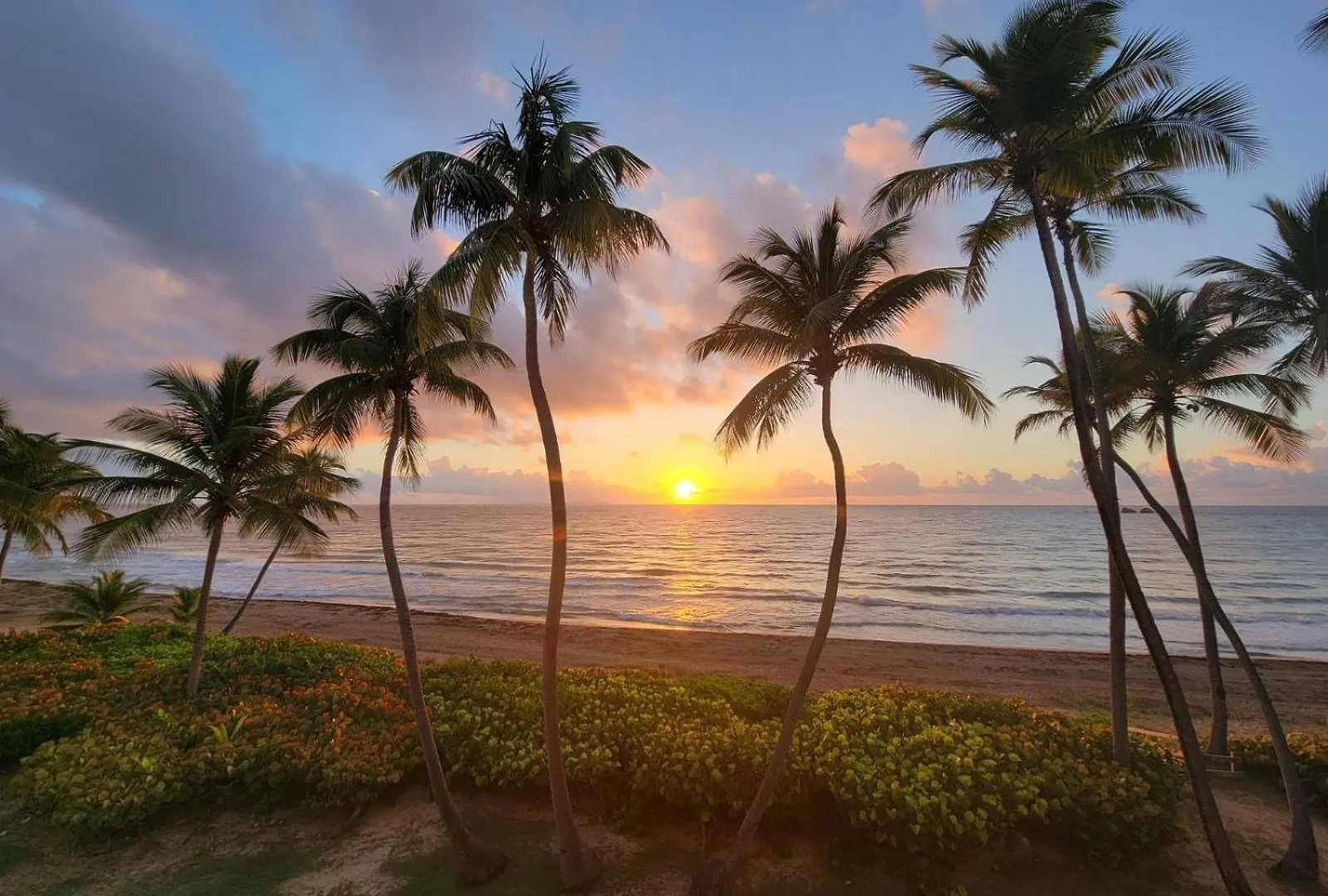 Bv103 - Amazing Oceanfront Condo Steps From Beach Humacao